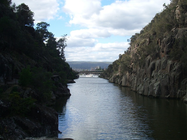 IMGP1590
