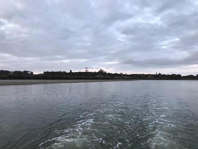IMG 9325