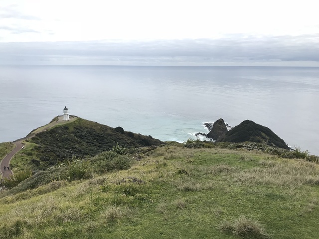 IMG 9543