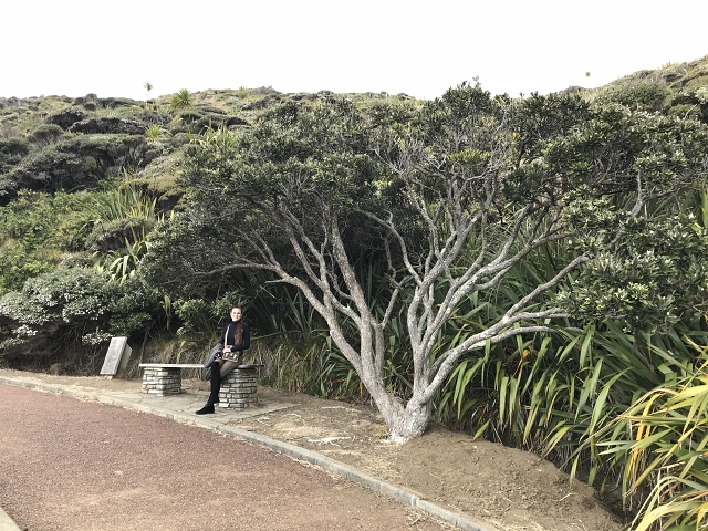 IMG 9590