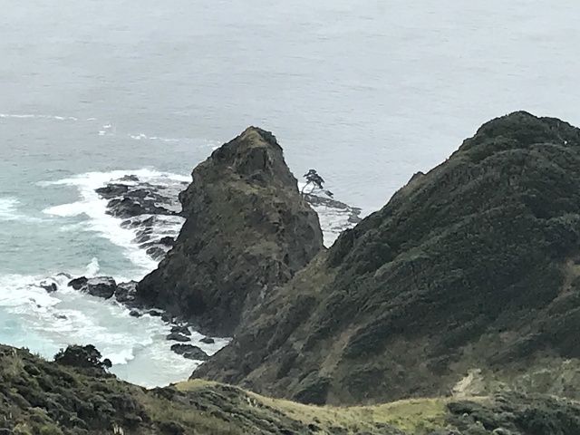 IMG 9595