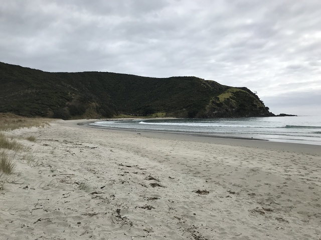 IMG 9597