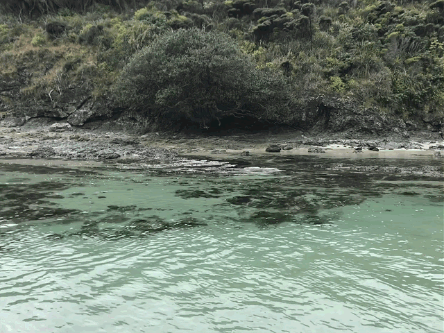 IMG 9599