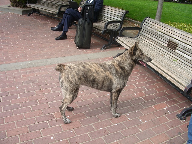 IMGP2466